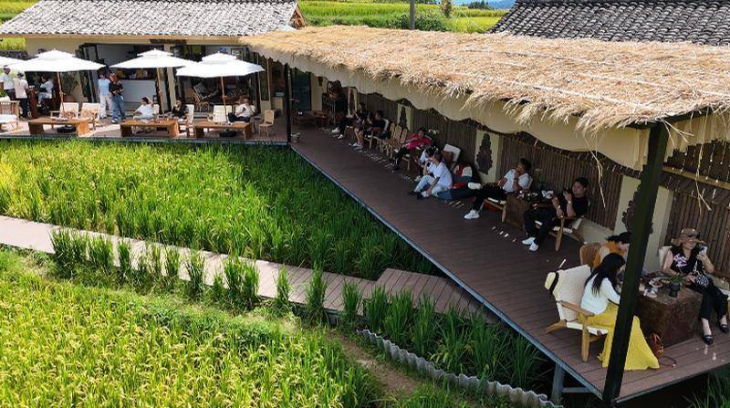 龙陵：农耕游点燃国庆乡村热麻将胡了2试玩模拟器保山(图7)